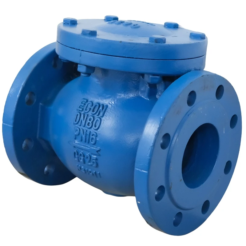 BS 5153 Swing Check Valve2 BS 5153 Swing Check Valve2