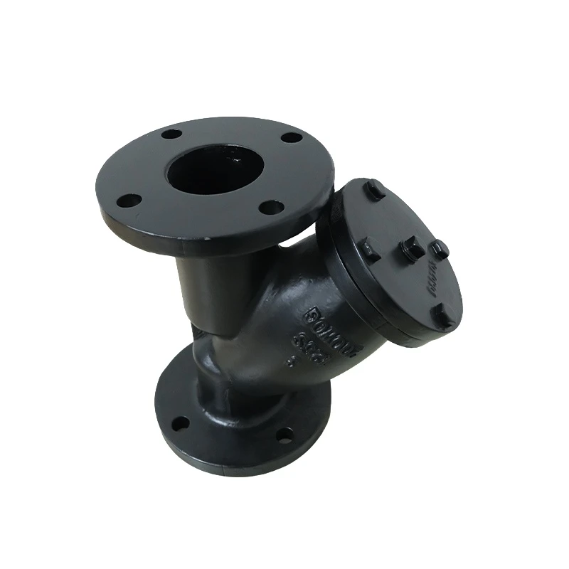 ANSI Y Strainer4 ANSI Y Strainer4